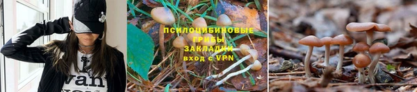 ешки Краснотурьинск