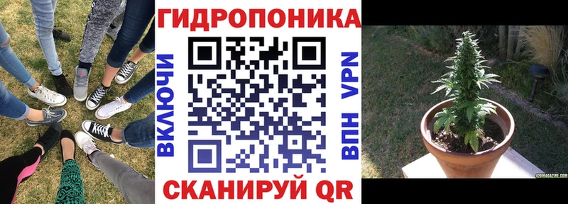 Купить закладки  Родники  Марихуана Ganja 